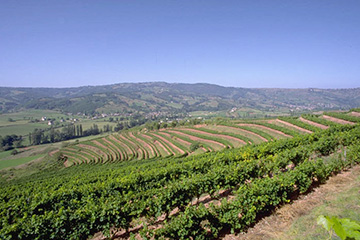 富圖納島機場三字代碼(FUT)_Futuna Island空運機場,瓦利斯和富圖納群島機場