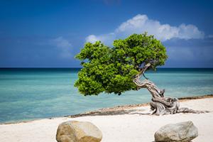 雷納－比特里克斯機場三字代碼(AUA)_Aruba空運機場,阿魯巴機場