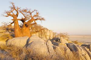 洛巴策機場三字代碼(LOQ)_Lobatse