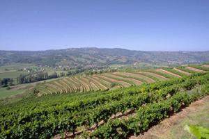 富圖納島機場三字代碼(FUT)_Futuna Island空運機場,瓦利斯和富圖納群島機場
