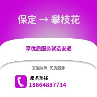 保定到攀枝花物流專線_保定到攀枝花貨運(yùn)專線公司