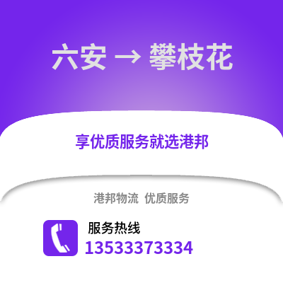 六安到攀枝花物流專線_六安到攀枝花貨運專線公司