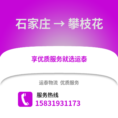 石家莊到攀枝花物流專線_石家莊到攀枝花貨運專線公司