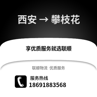 西安到攀枝花物流專線_西安到攀枝花貨運專線公司